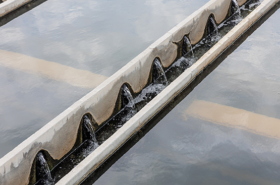 Ir a la noticia El proyecto TRIATHLON permitirá la anticipación y la prevención para lograr mejorar la calidad del agua potable