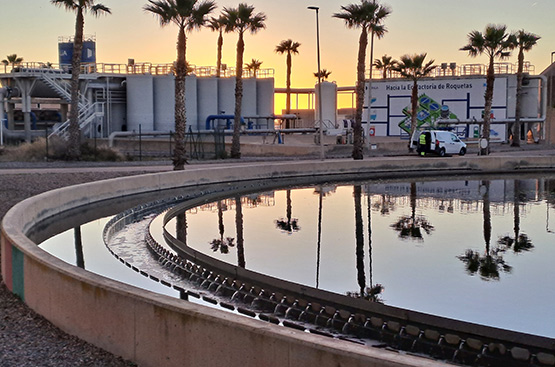 Ir a la noticia NutriLoop demuestra la viabilidad del agua regenerada como alternativa sostenible y segura para el riego agrícola
