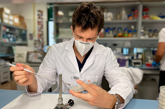 Image of a laboratory test.