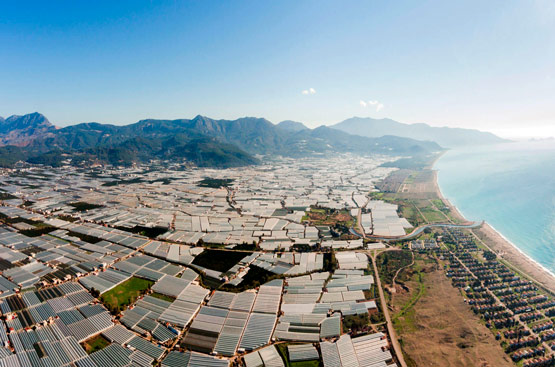 Image of the Poniente Almeriense, area in which the project will be developed.