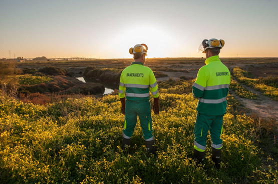 Hidralia operators in the Bahía de Cádiz Natural Park.