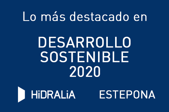 Hidralia Estepona 2020 Sustainable Development Report