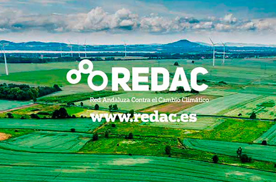 Representative image of REDAC
